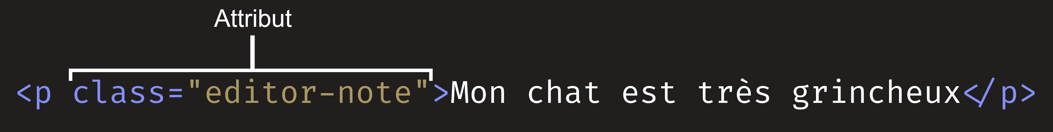 La balise ouvrante du paragraphe possède un attribut class mis en avant et qui contient class=class-css